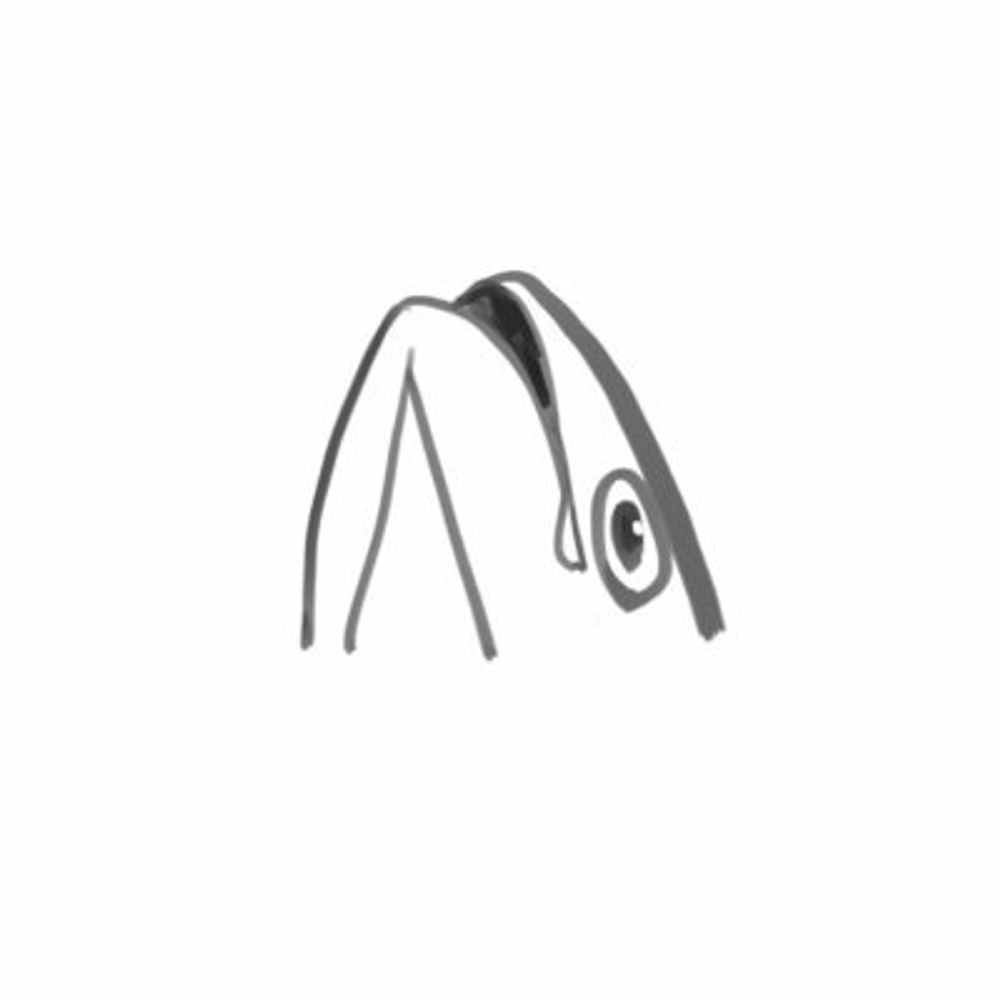 マグロ一リン