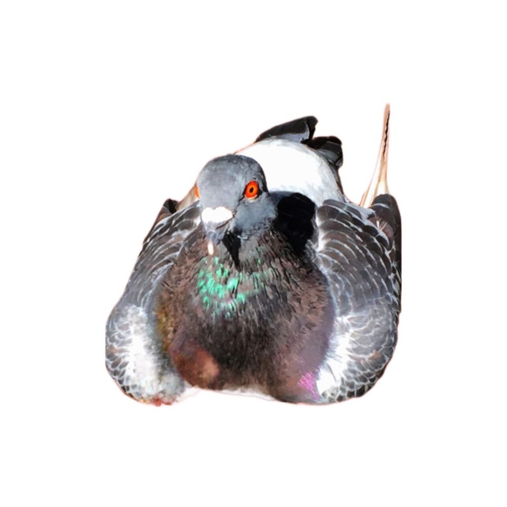 うぐ