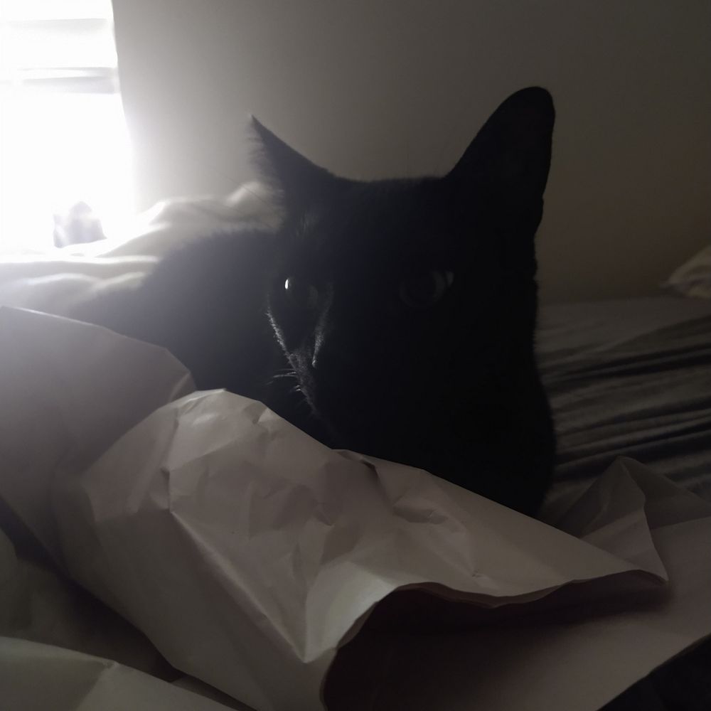 vee