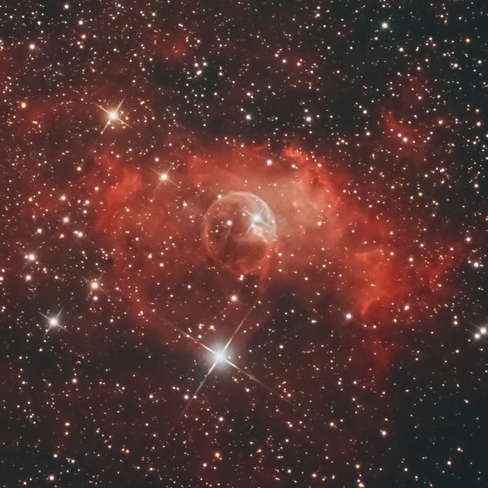 Florian Rimoli