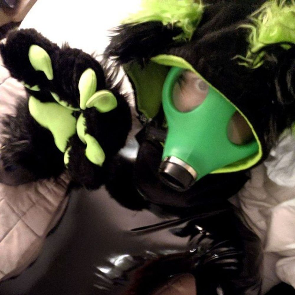 Twitchy!