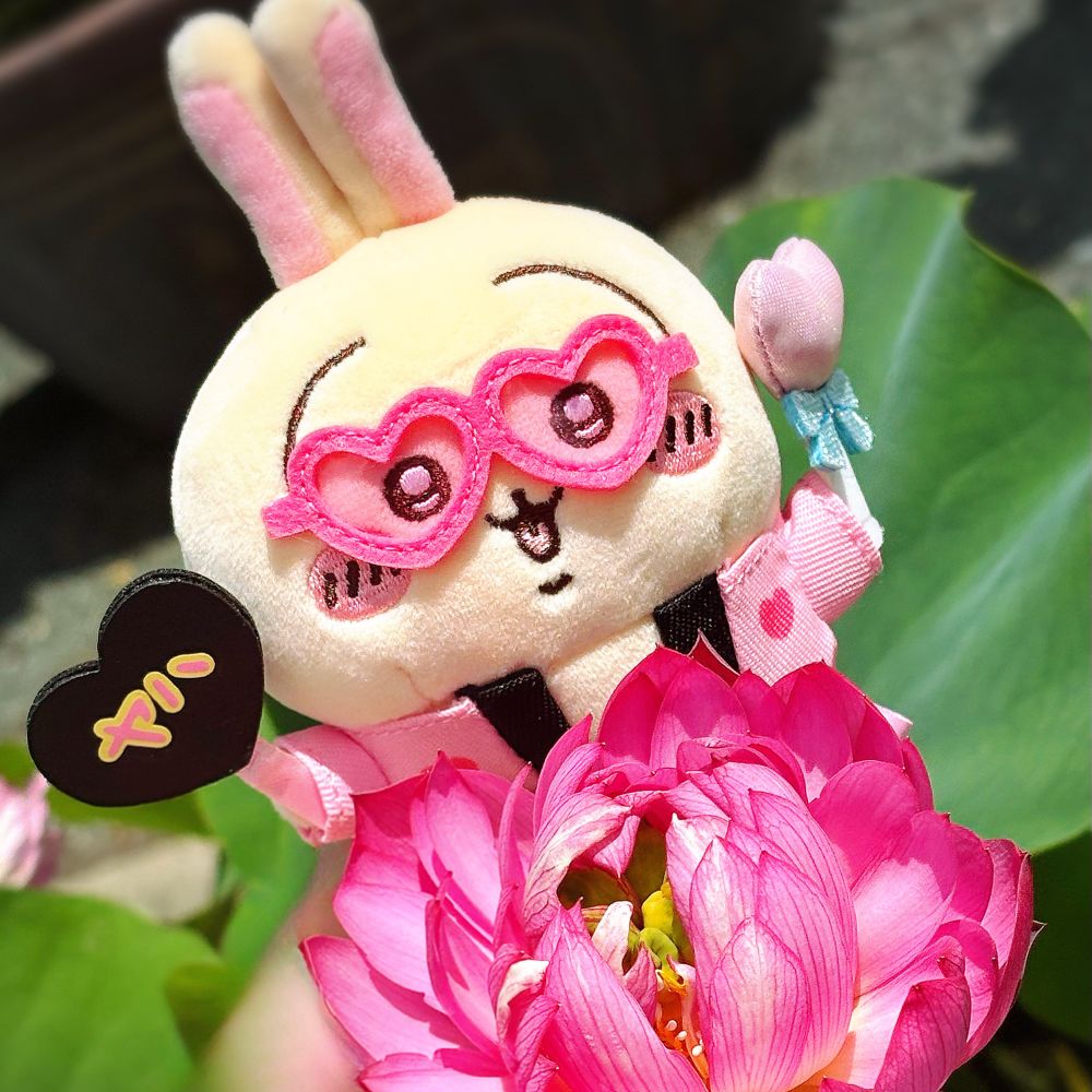 ｻｻﾞﾅﾐ🐰