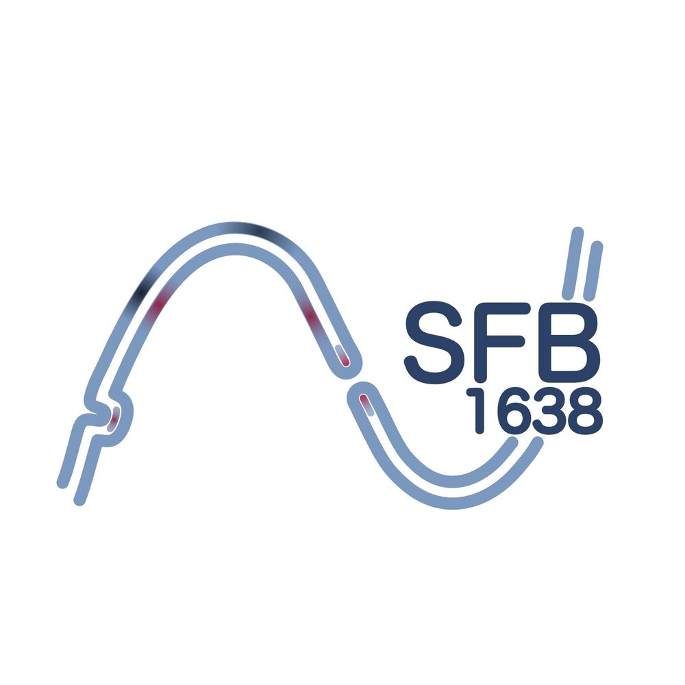 SFB1638