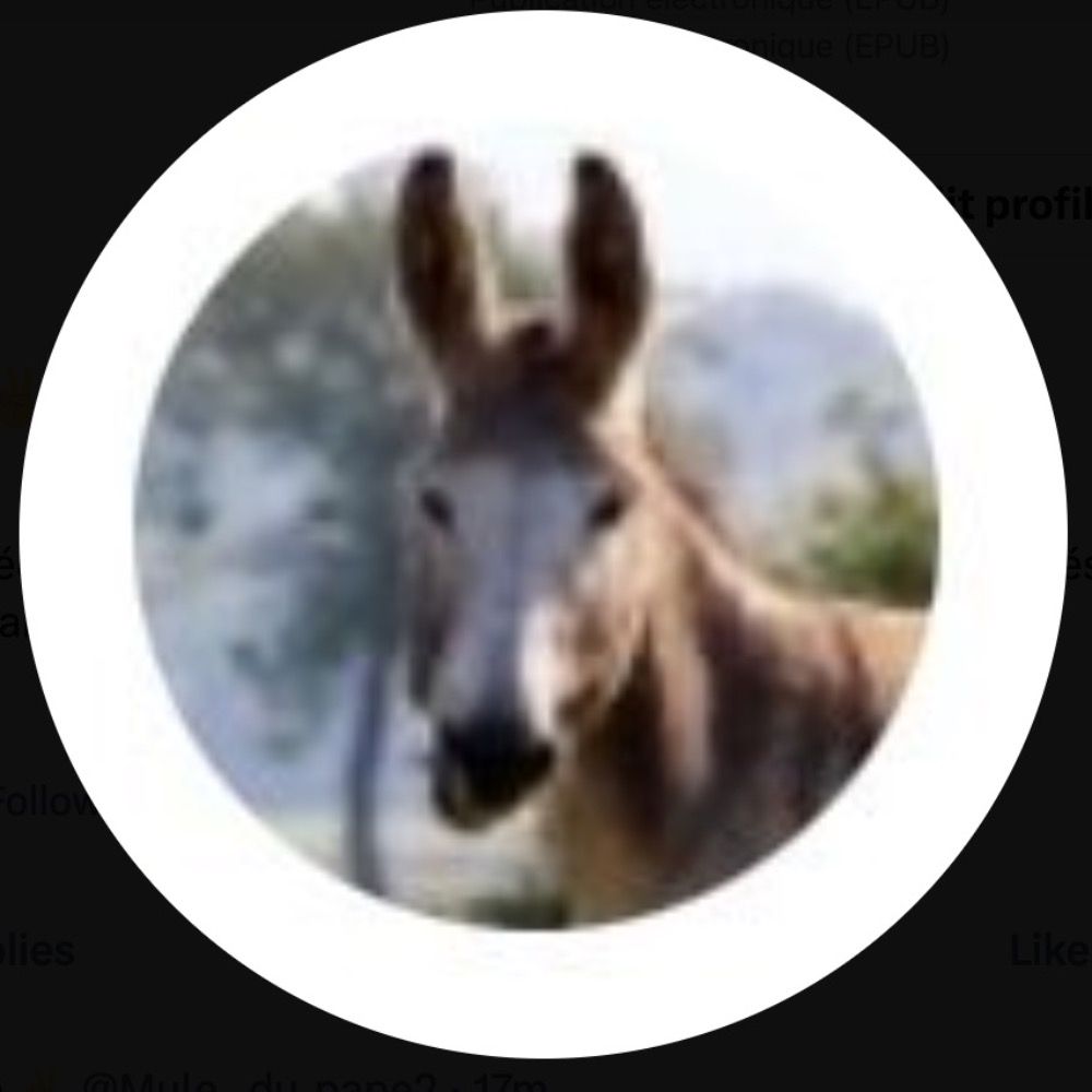 mule-du-pape's avatar