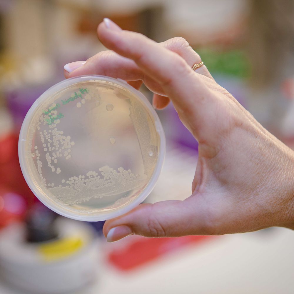 The Laboratory for Molecular Infection Medicine Sweden (MIMS)