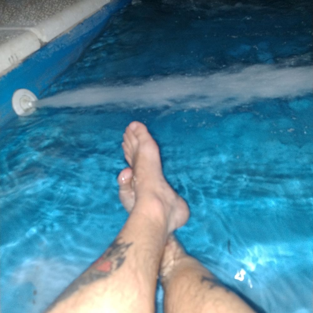 Bicho