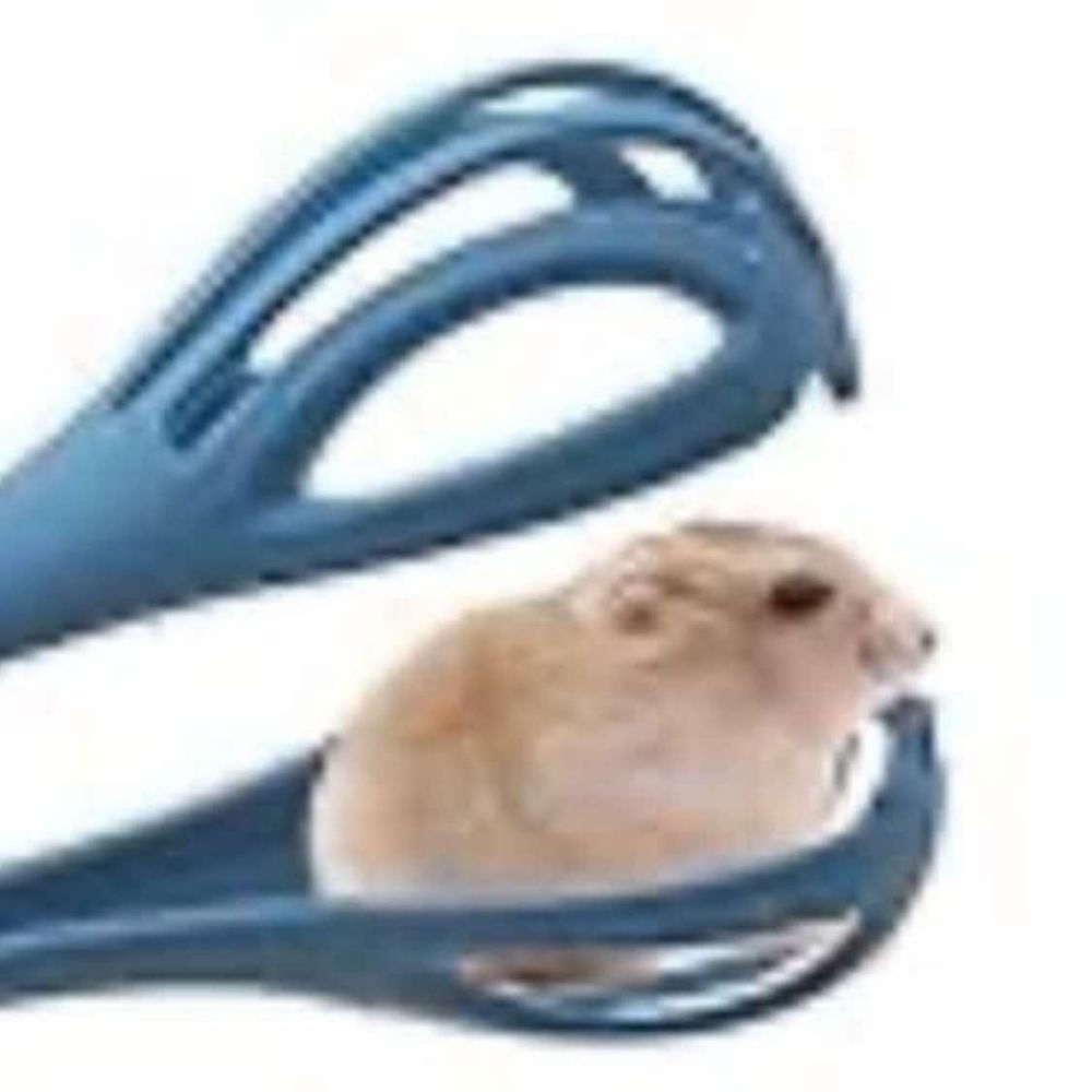 Le 🍟