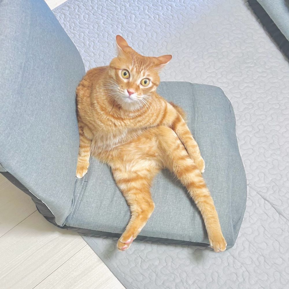 NNNN
