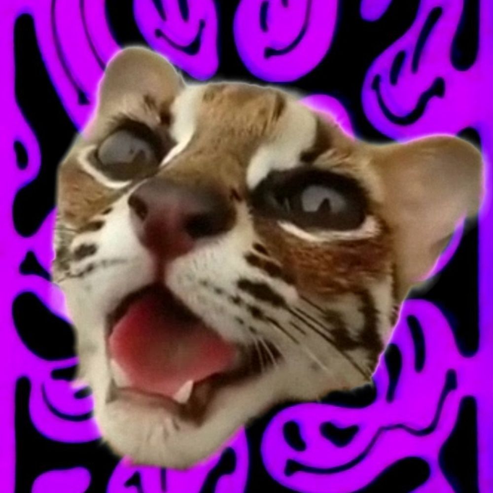Ocelot_Zz