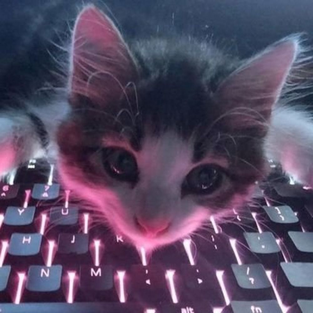 Annie💻