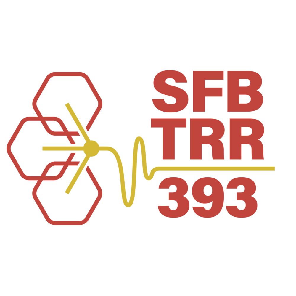 SFB/TRR 393