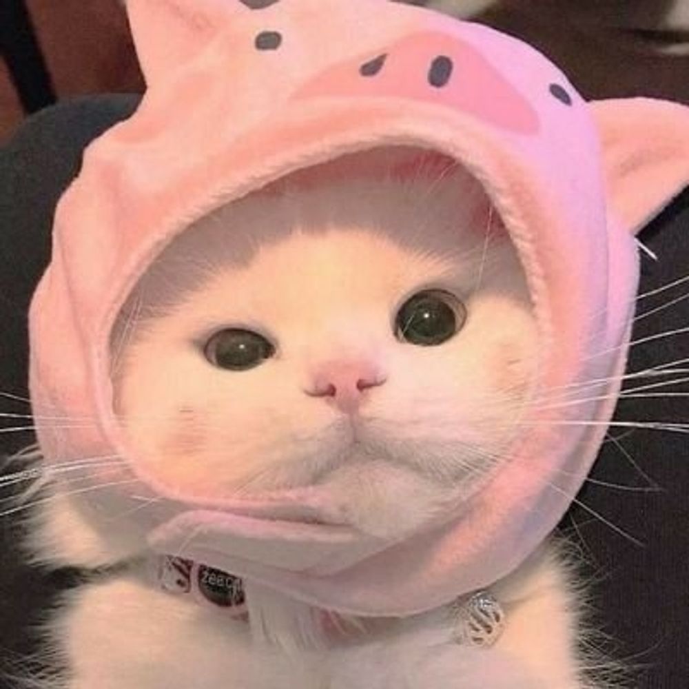 aya