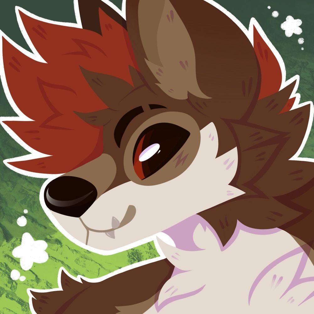 Locke 🌲🐾