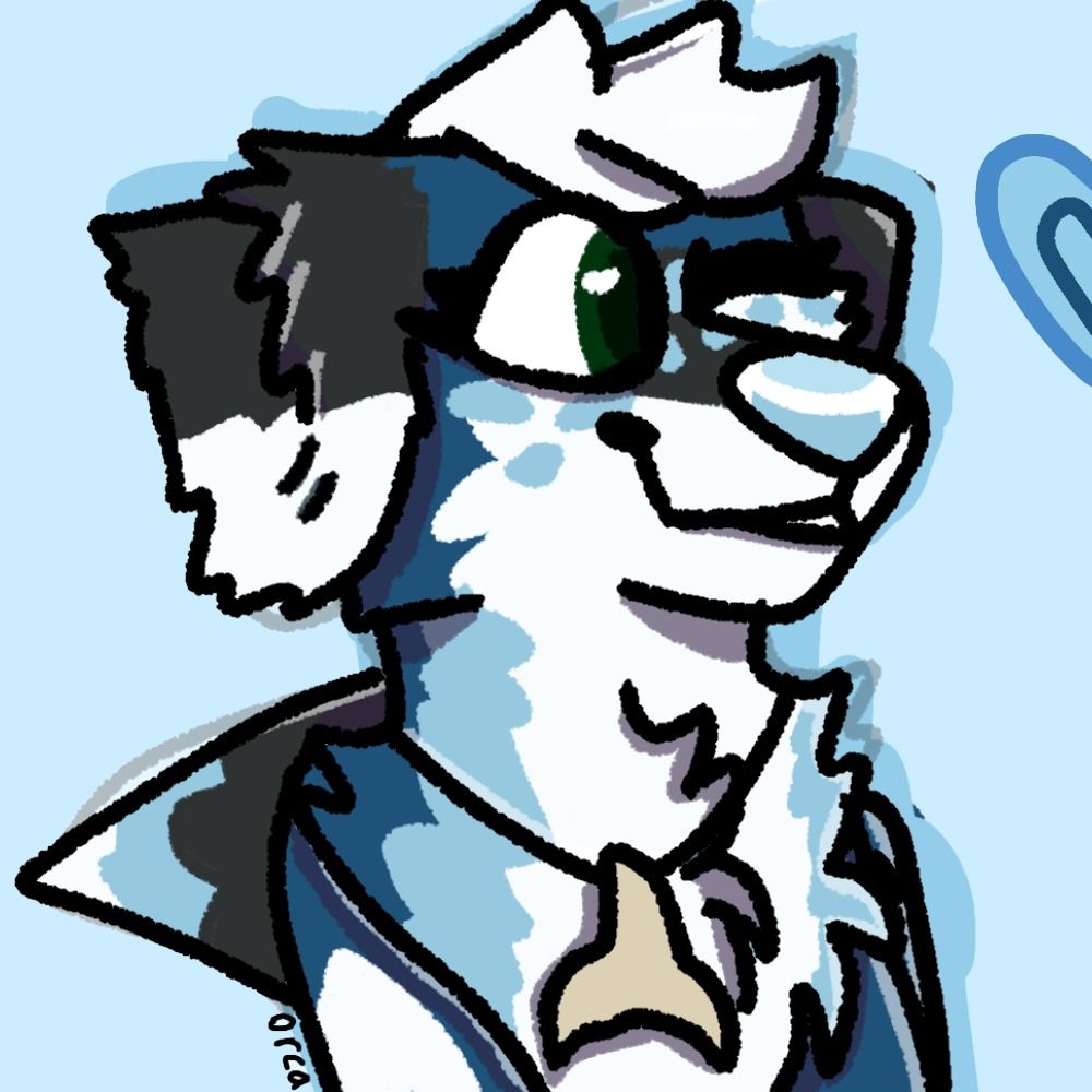 🌊Orca🌊
