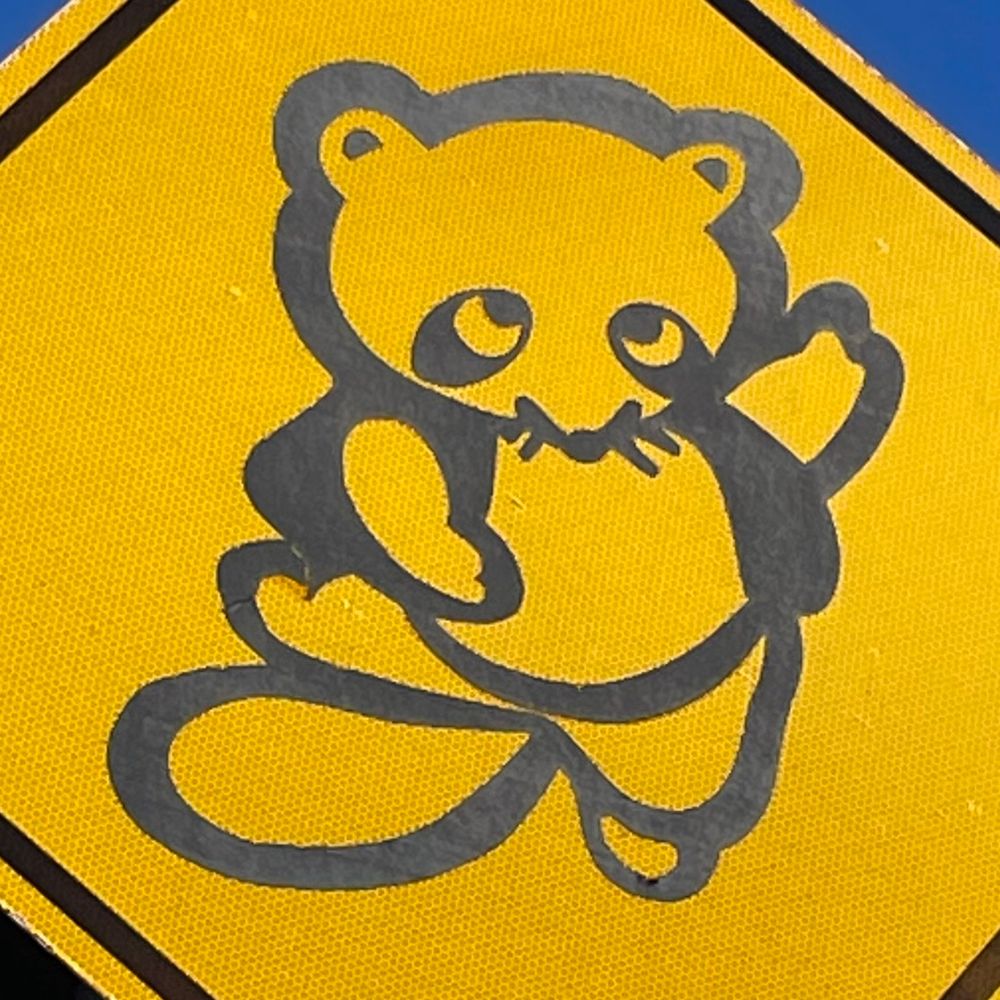 Suggy