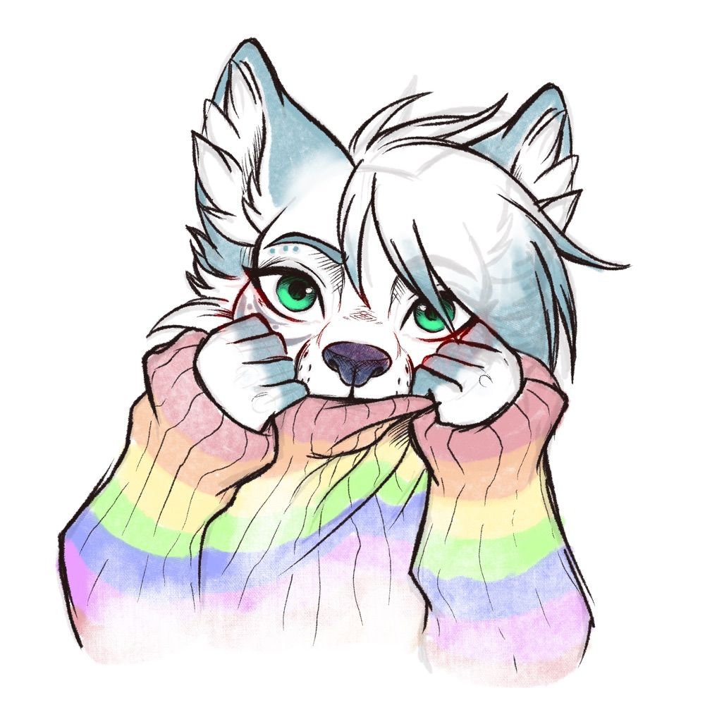 Aspen Snowfox ΘΔ