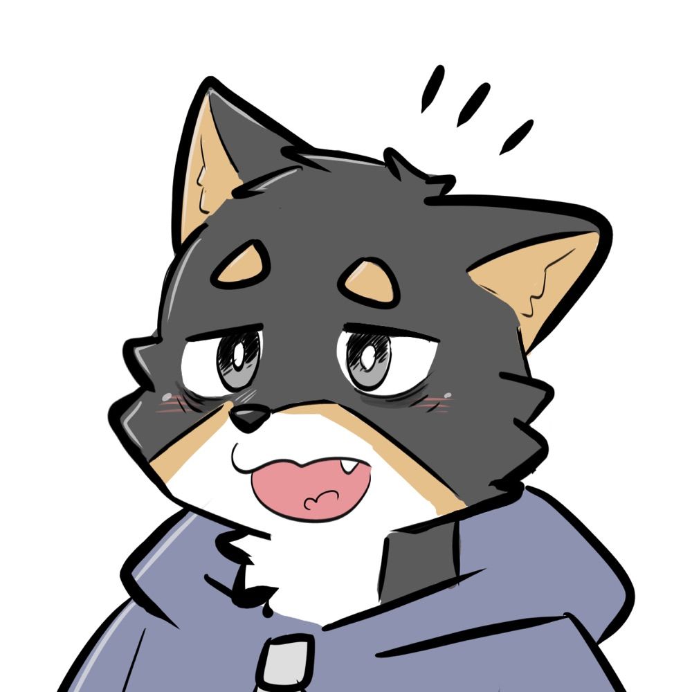 黒柴