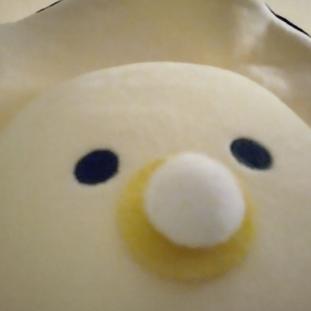 はくまい