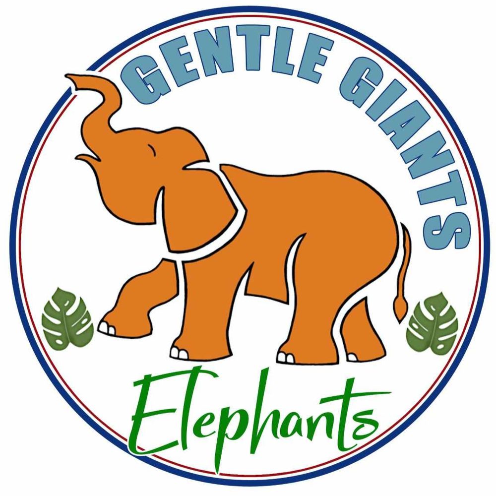 Gentle Giants Elephants