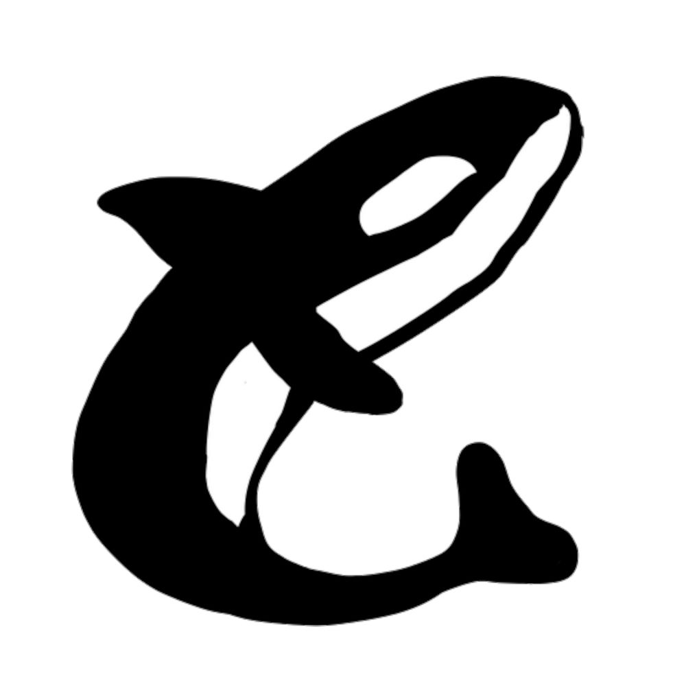 Orcas Sinking Yachts
