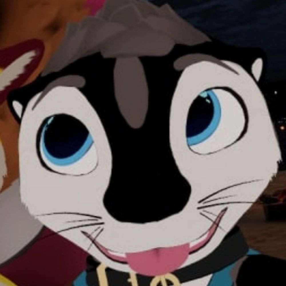 Cosmo Husky
