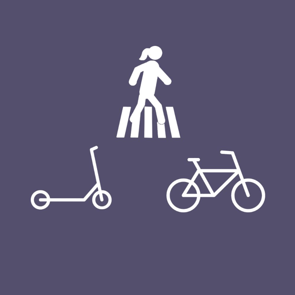scooterflaneuse