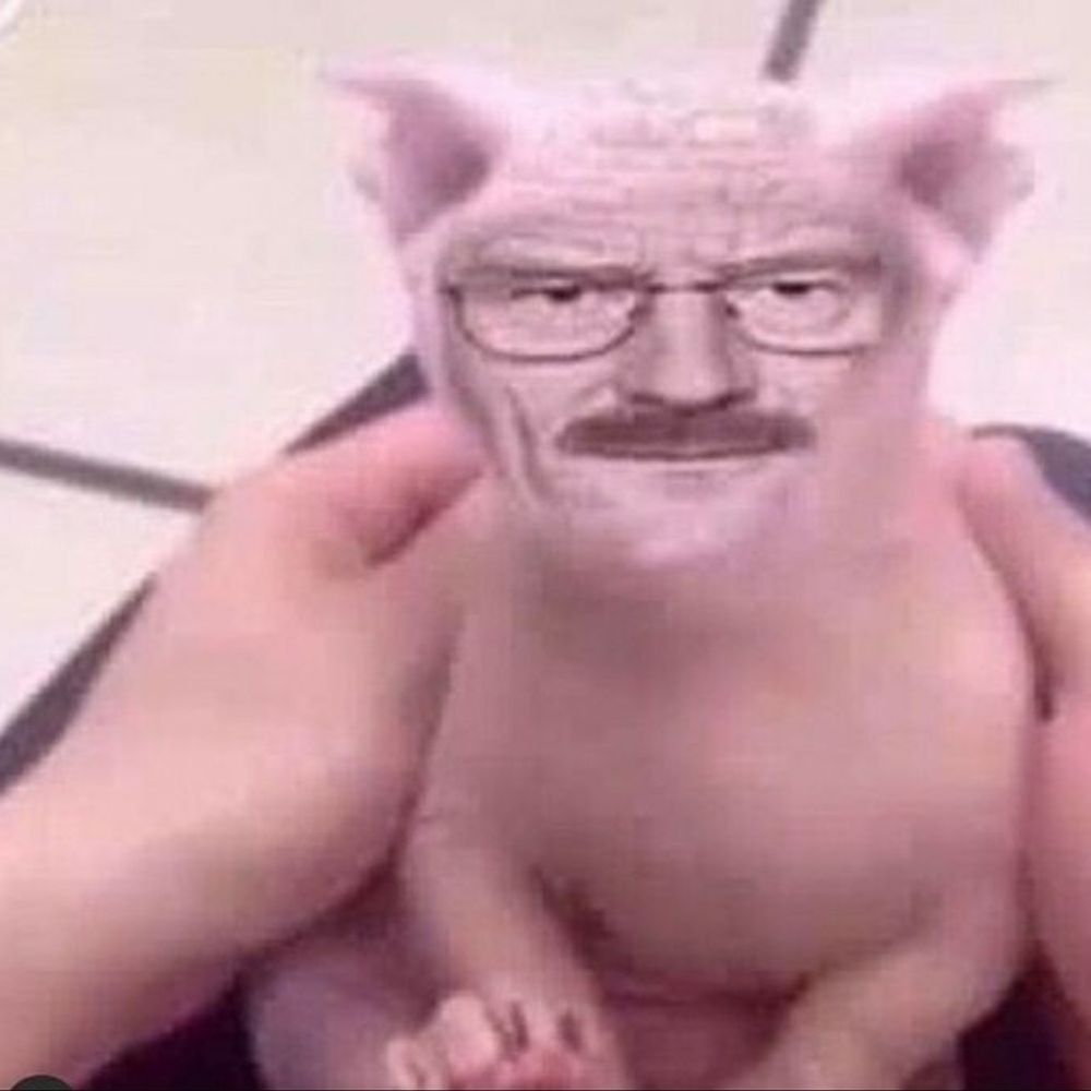 🥩GUMMYUUU!🥩