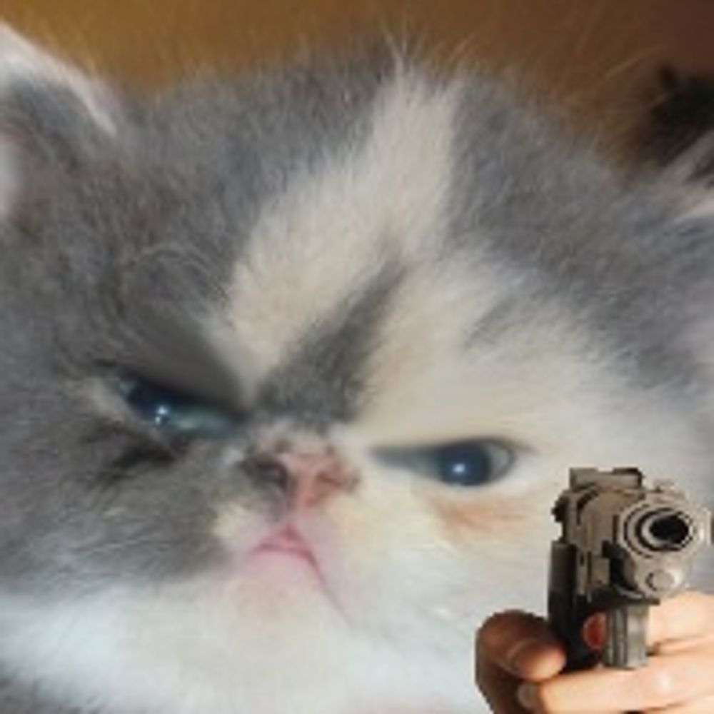 Fuck Fascists 🏳️‍⚧️