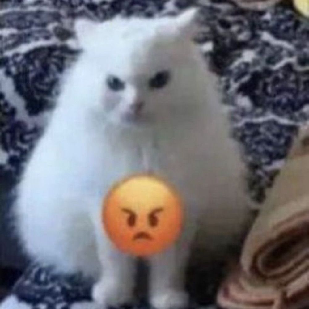 Thi