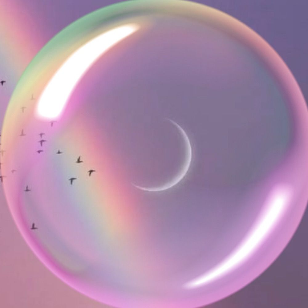  🌸🌑