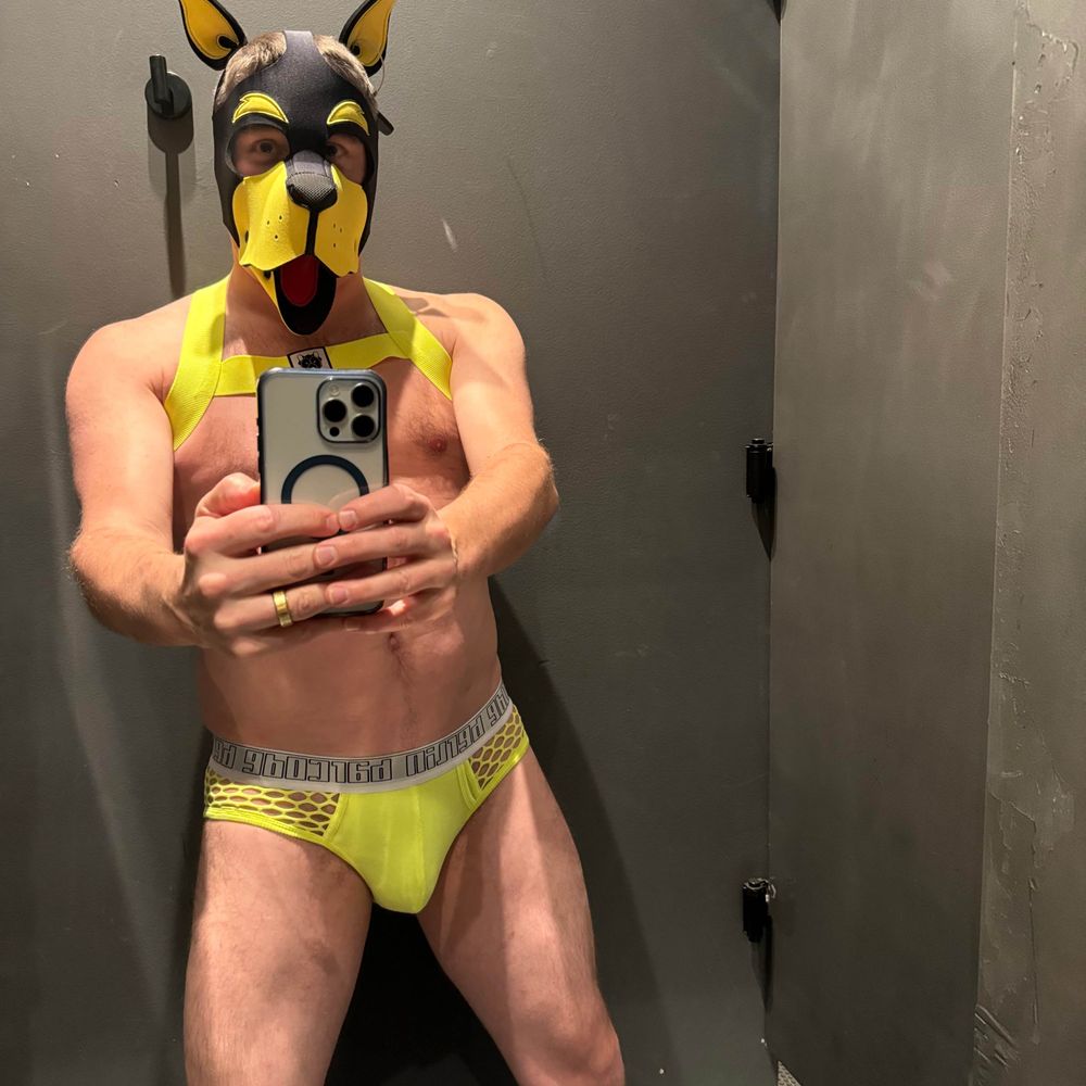 PupApawllo