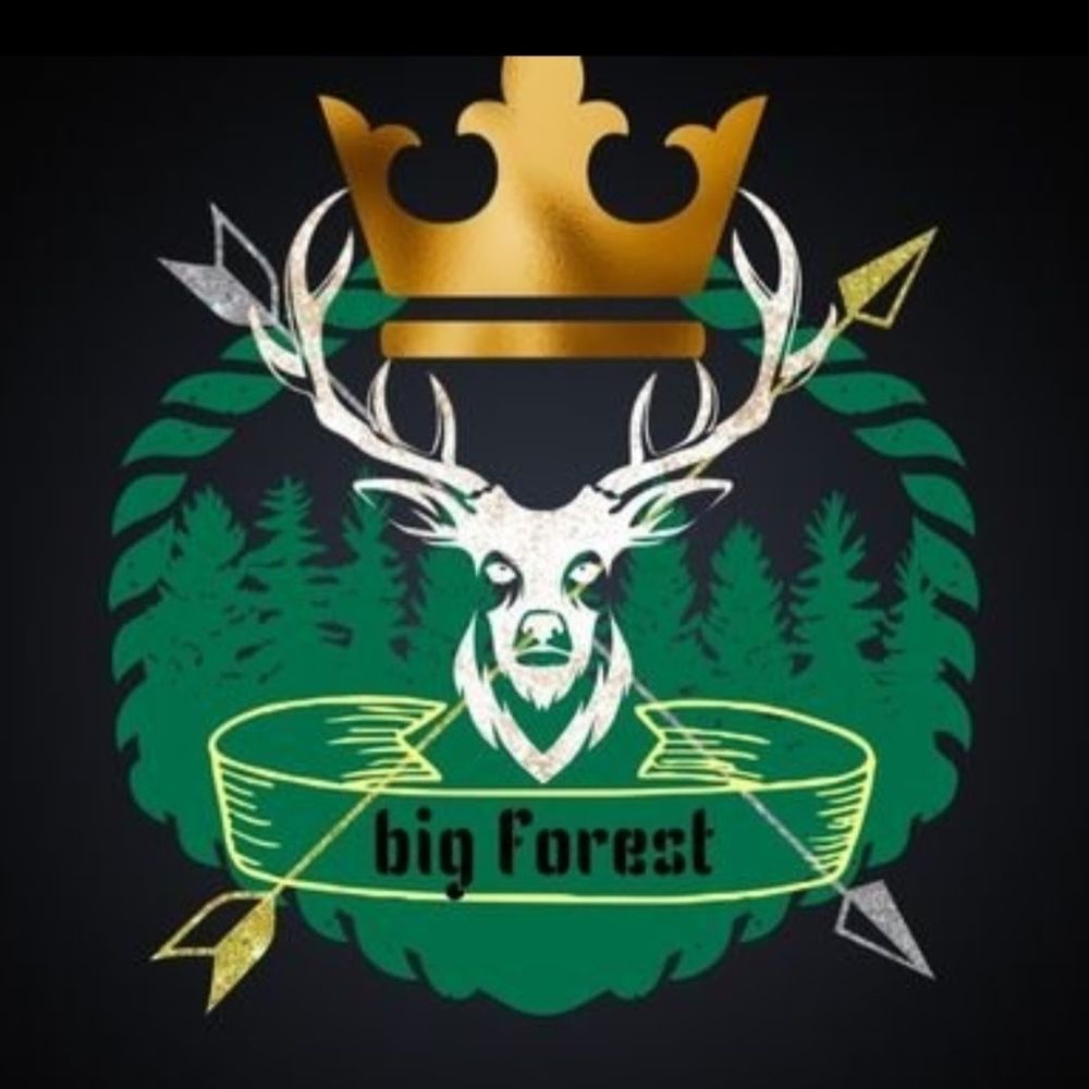 @BIGforest914
