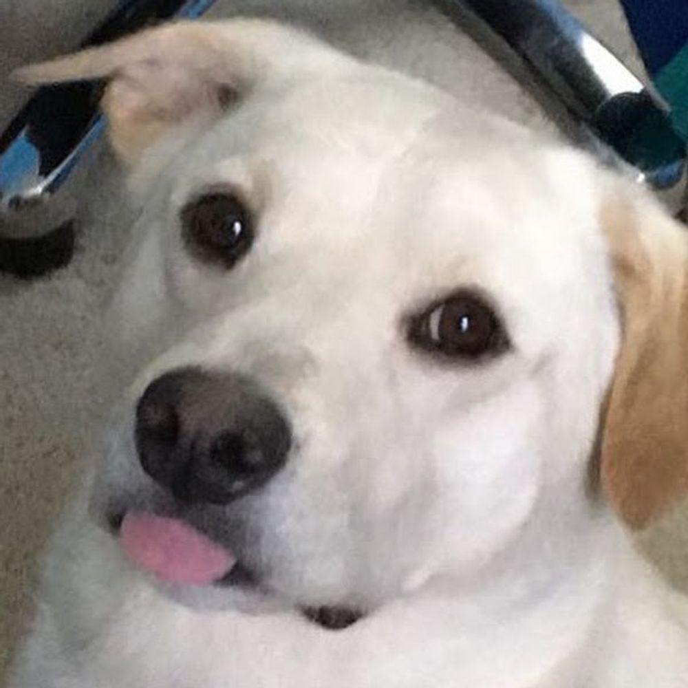 Faded