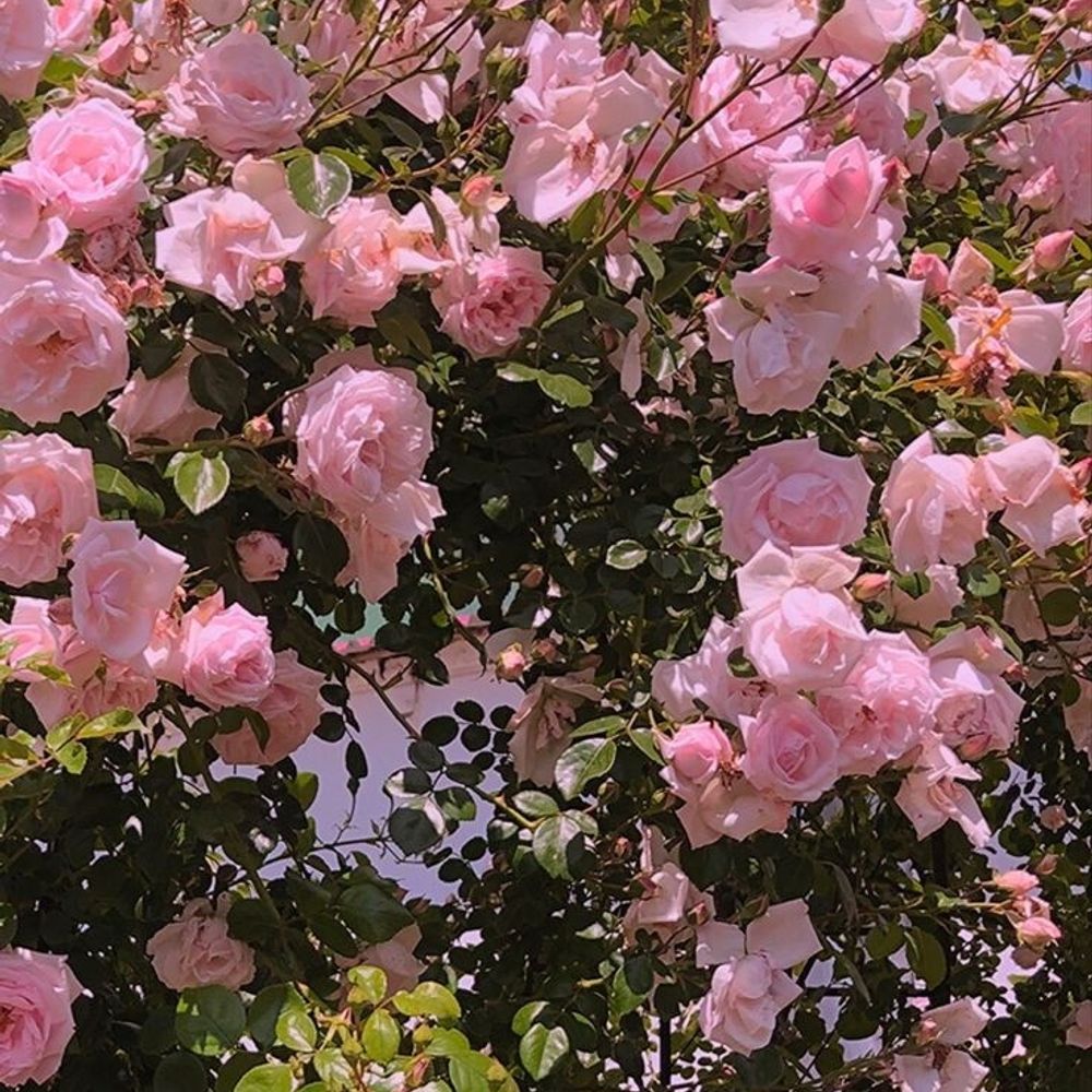 ☁︎