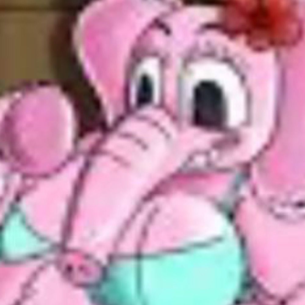 Pola