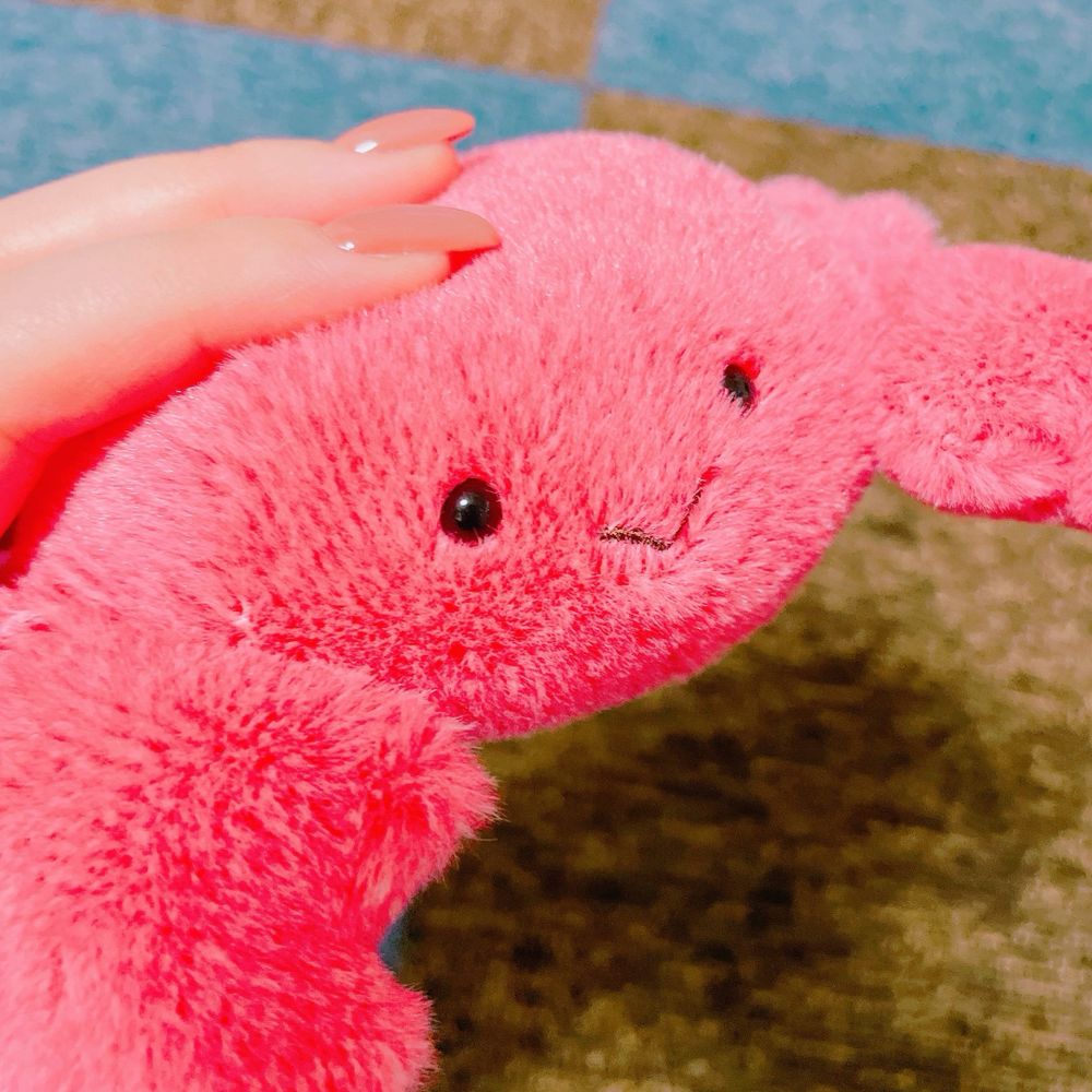 はと