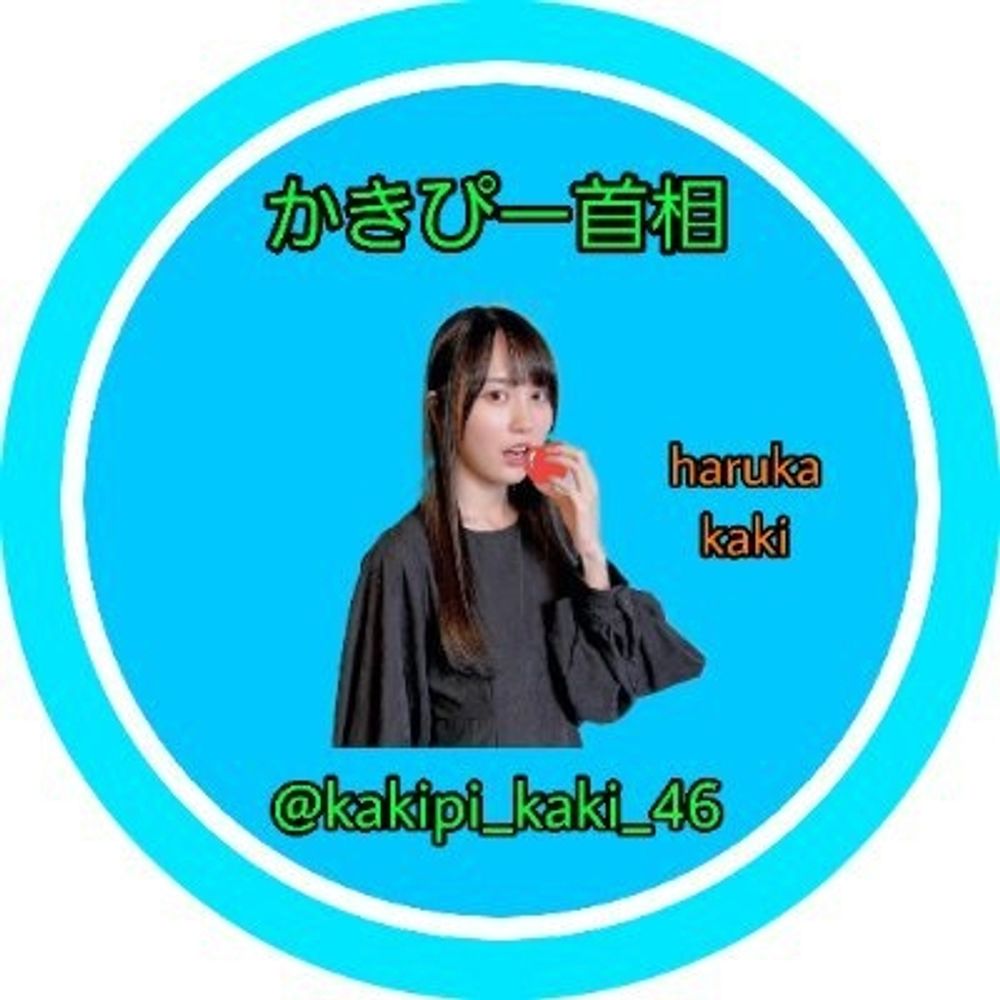 かきぴー首相◢͟￨⁴⁶