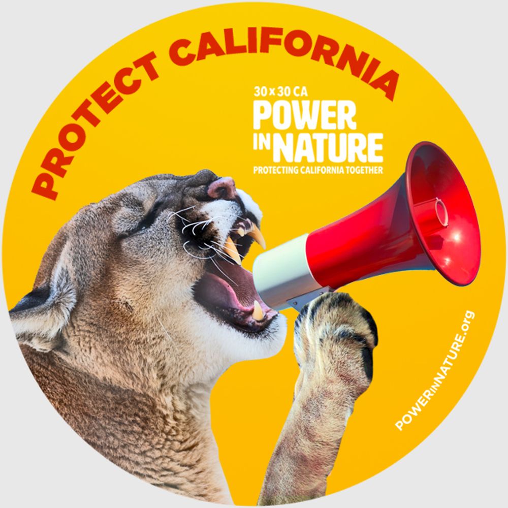 Power In Nature 