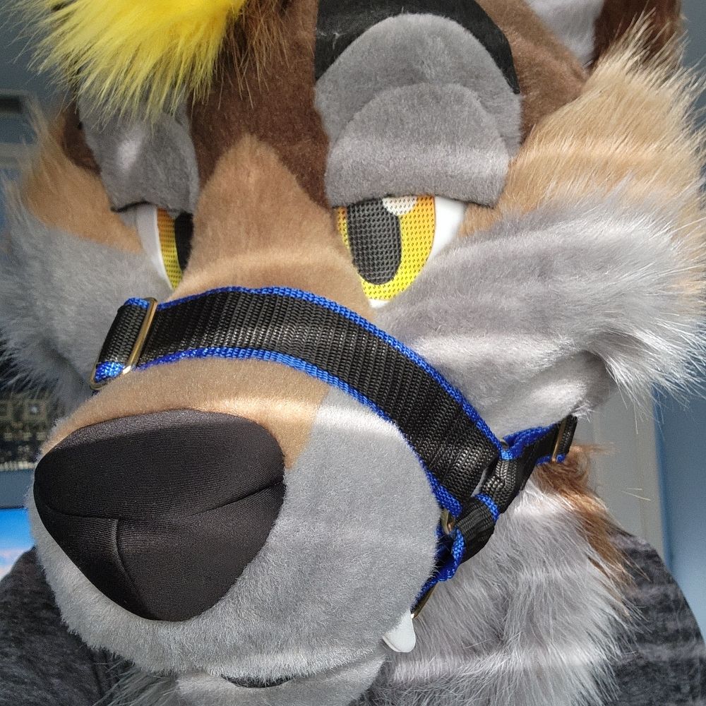 Profile picture horny.yote.gay