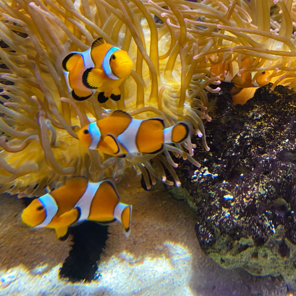 ヽ(^。^)ノ