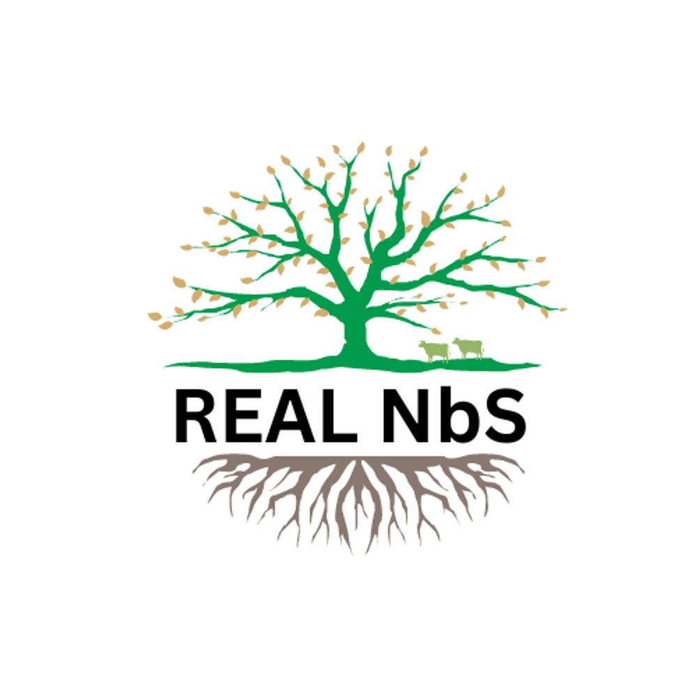 REAL NbS project