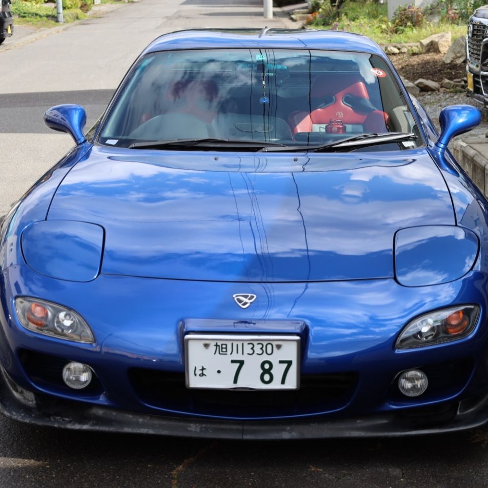 MSさん