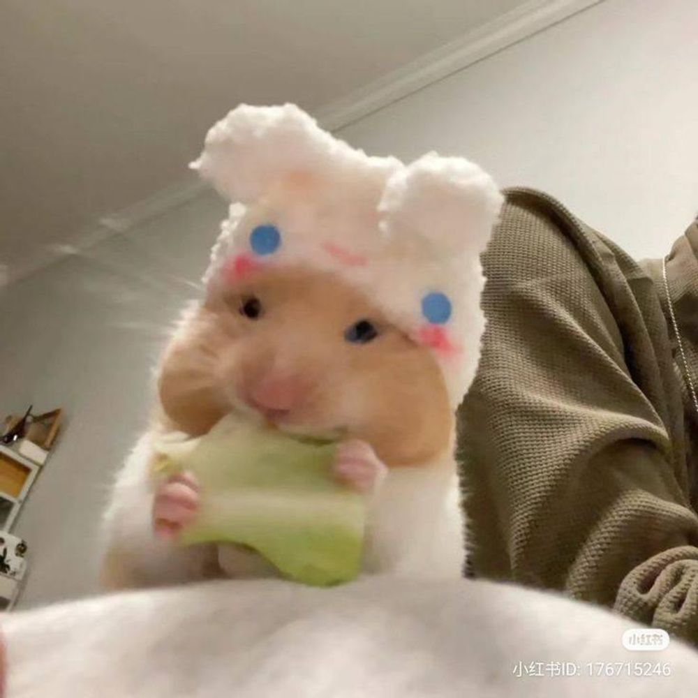 LizSaysOyVey