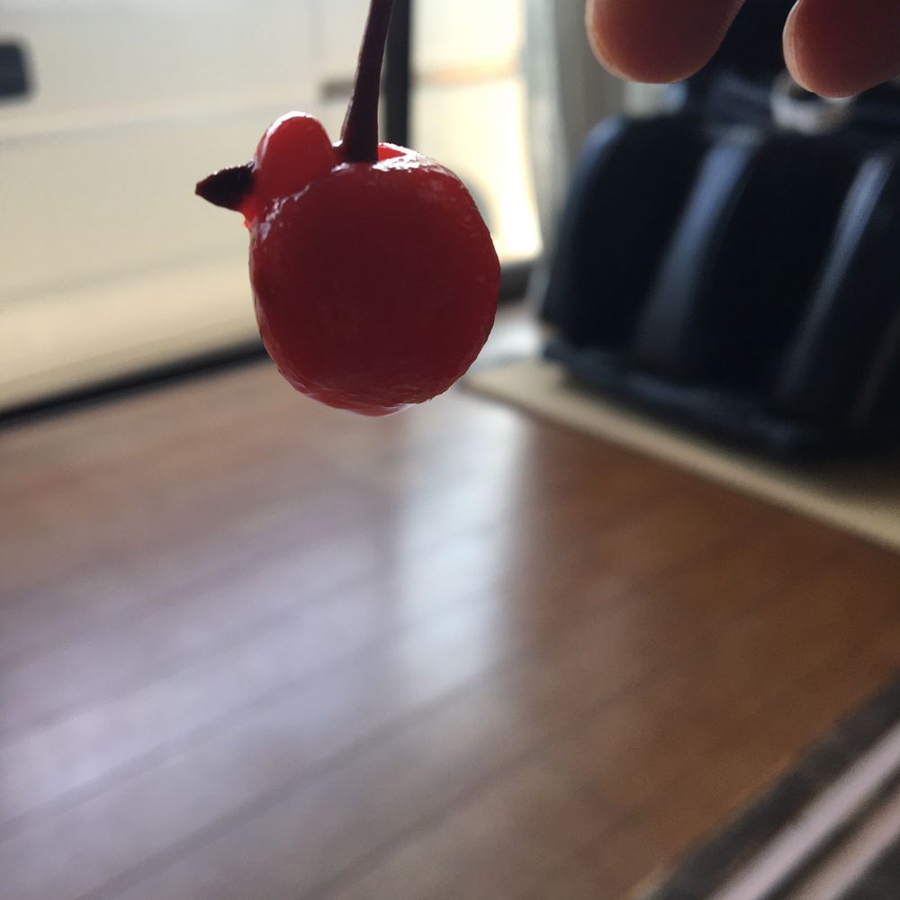 ちまごいち