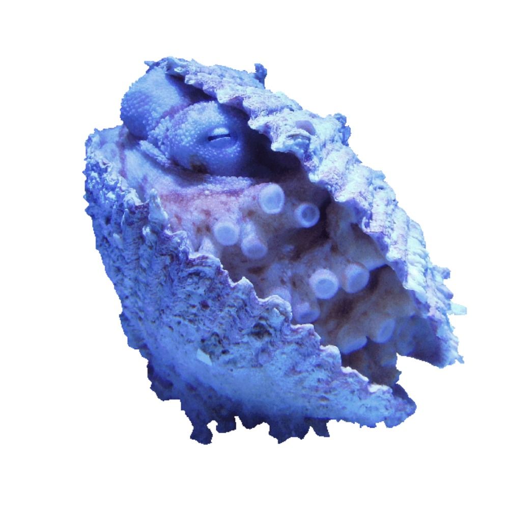 Ϙ