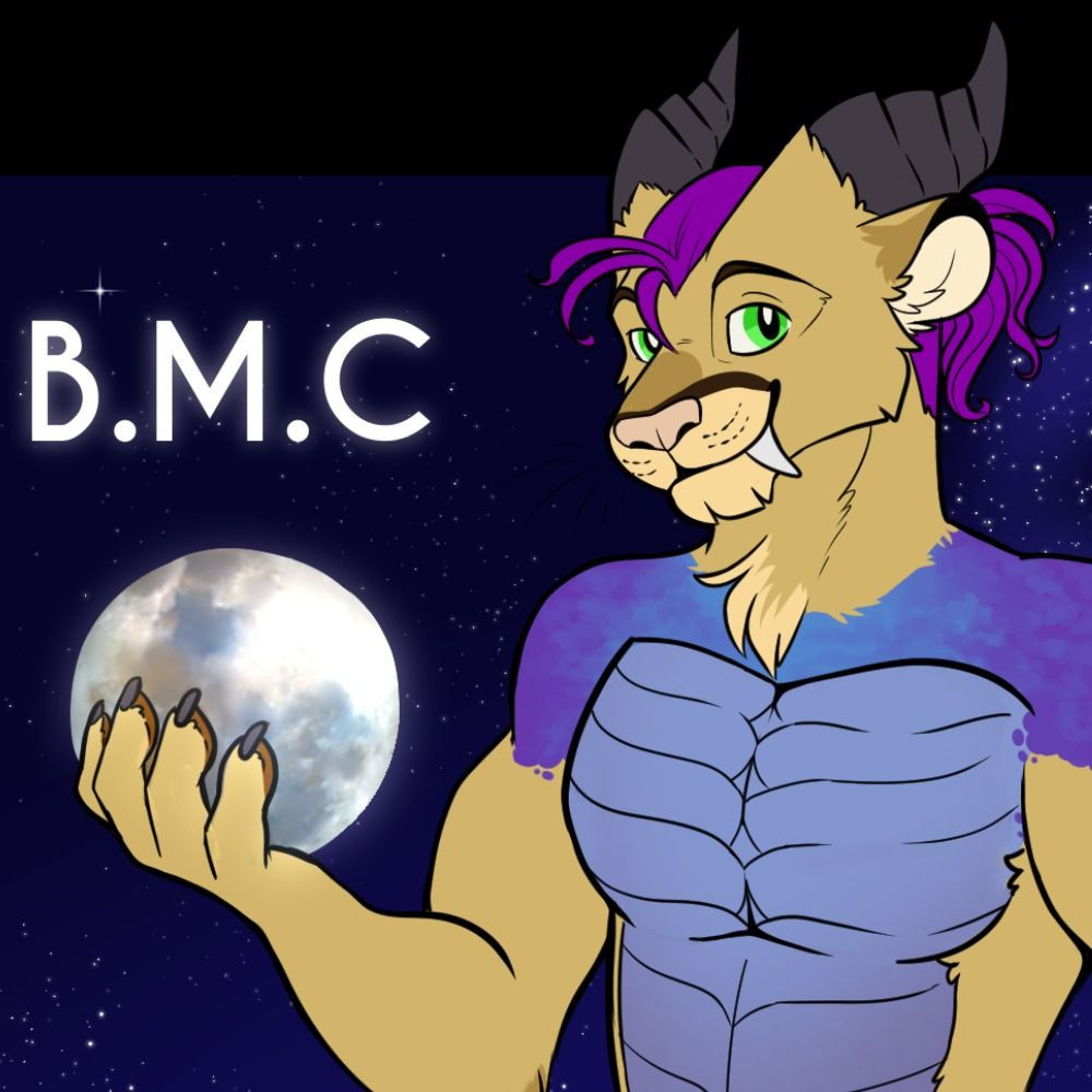 BigMountainCat