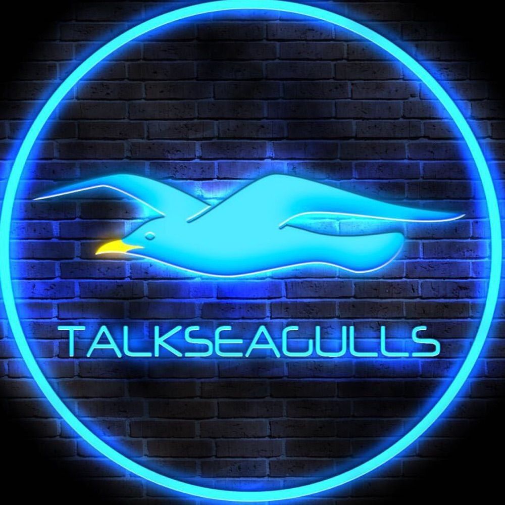 Talk Seagulls