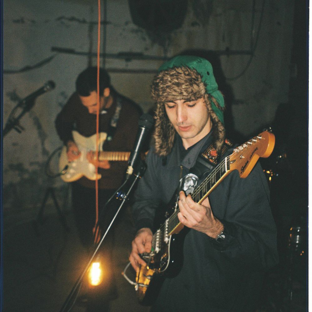 swans