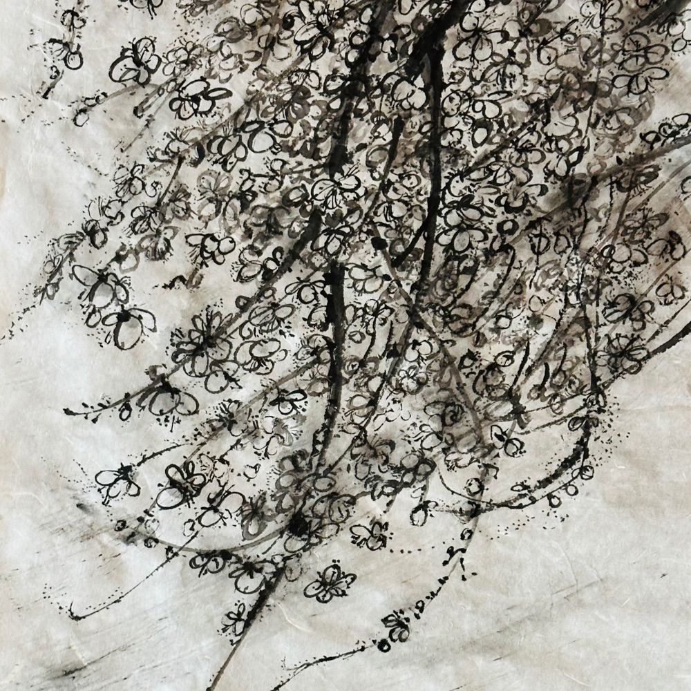 shuri fukunaga