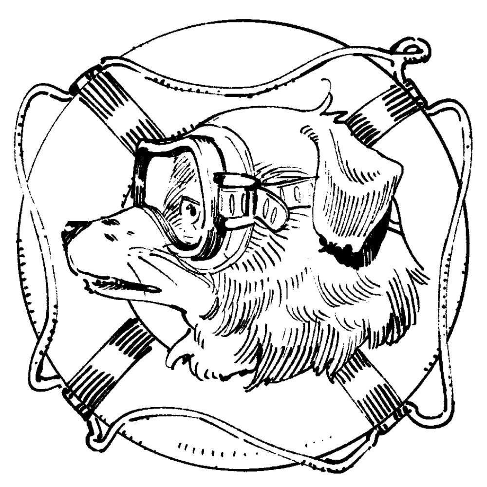 犬居葉菜